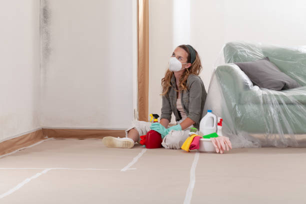 Reliable Basement Mold Remediation contractor in Marbury, MD by WQB Mold Removal